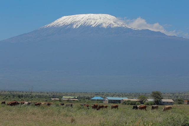 6 Days Umbwe Route