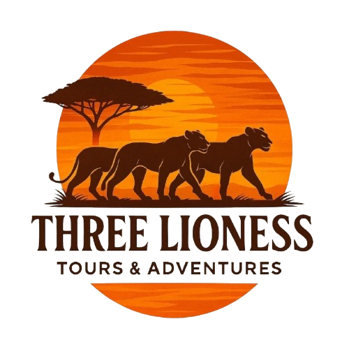 Three Lioness Tours & Adventures