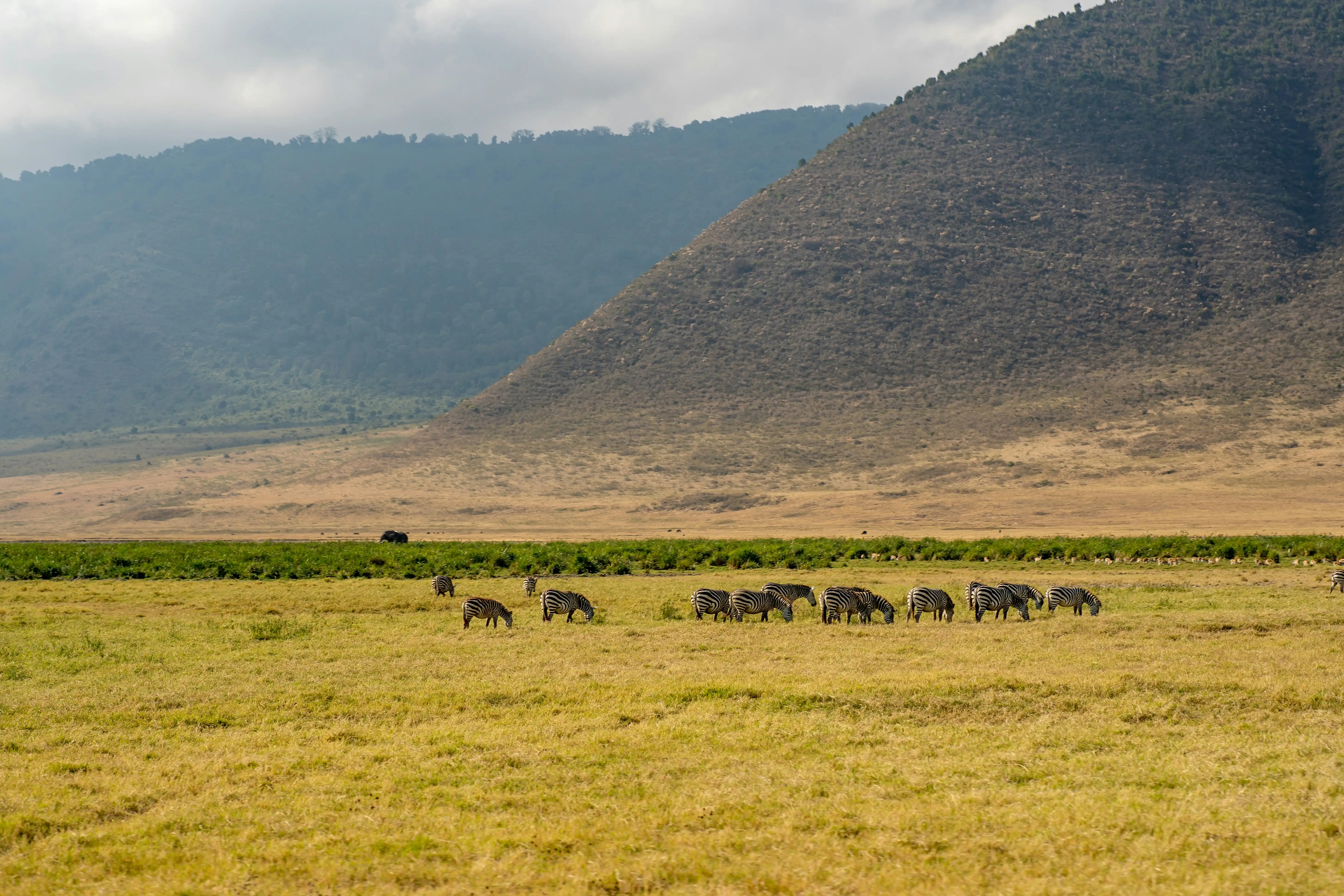 7 Days Safari Tanzania
